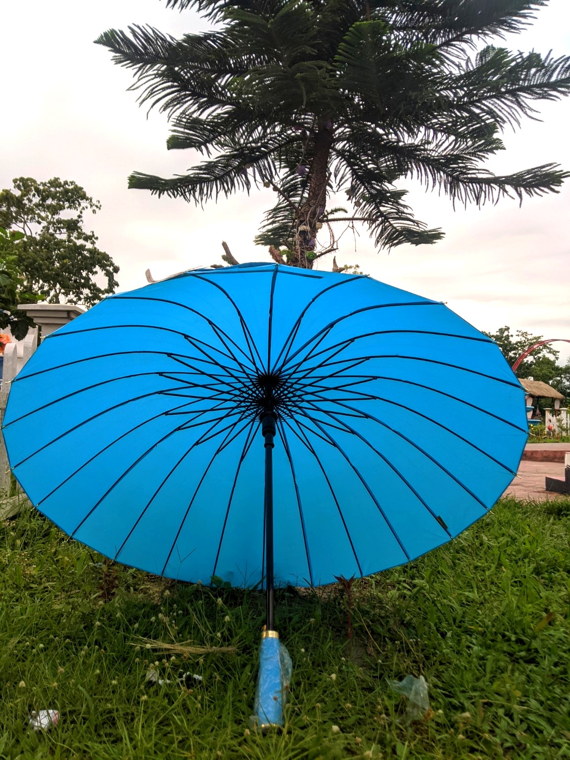 স্কাই ব্লু ২৪ শিখের প্রিমিয়াম ছাতা (১ বছরের ওয়ারেন্টি সহ)
