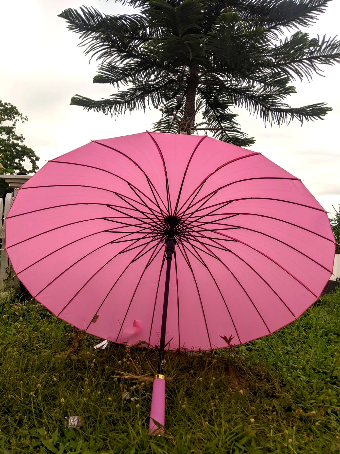 বেবী পিংক ২৪ শিখের প্রিমিয়াম ছাতা (১ বছরের ওয়ারেন্টি সহ)